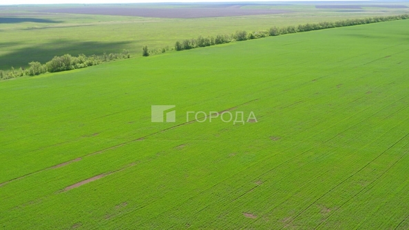 
  Продается земельный участок 4949.3 соток. Фото 7.