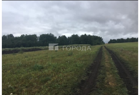 
  Продается земельный участок 9.3 соток. Фото 5.