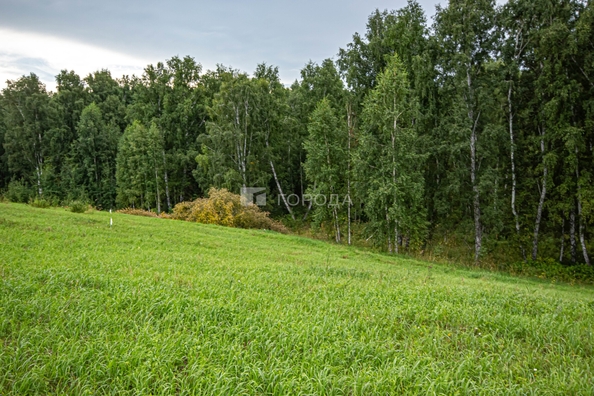 
  Продается земельный участок 5.1 соток. Фото 13.