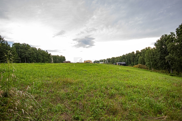 
  Продается земельный участок 5.1 соток. Фото 19.