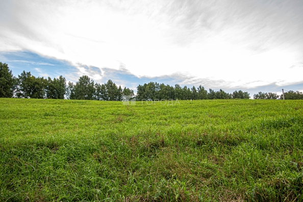 
  Продается земельный участок 5.1 соток. Фото 22.