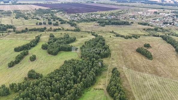 
  Продается земельный участок 5.4 соток. Фото 19.