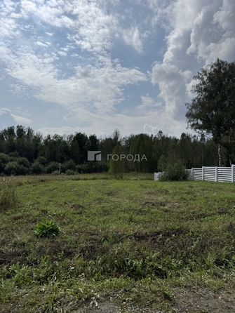 
  Продается земельный участок 10.75 соток, в КП Salair Park. Фото 3.