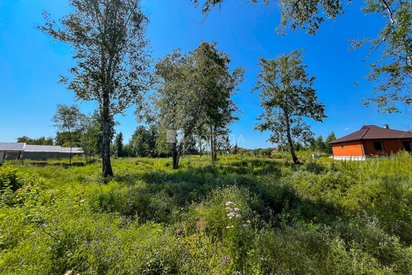 
  Продается земельный участок 5.8 соток, в КП Благодатный. Фото 1.