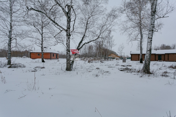 
  Продается земельный участок 5.8 соток, в КП Благодатный. Фото 10.