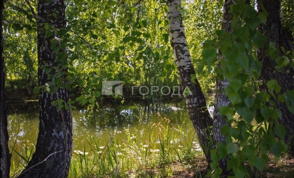 
  Продается земельный участок 9.96 соток. Фото 8.