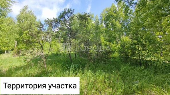 
  Продается земельный участок 8.5 соток. Фото 5.