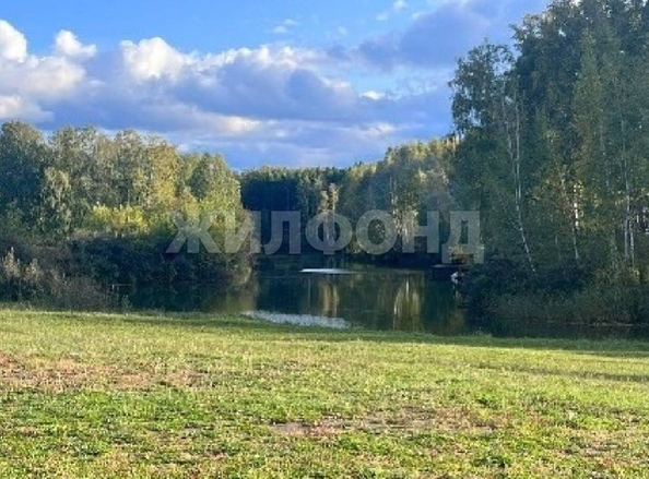 
  Продается земельный участок 15 соток. Фото 2.