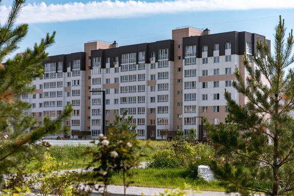 
  Продается 1-комн. квартира 41.7 м², в ЖК Фламинго, дом 20. Фото 2.