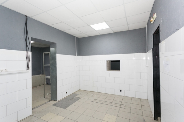 
  Сдается универсальное помещение 76.3 м². Фото 14.