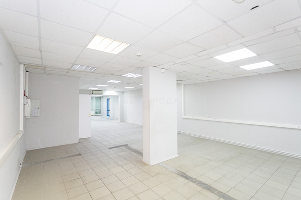 
  Сдается универсальное помещение 130.1 м². Фото 12.