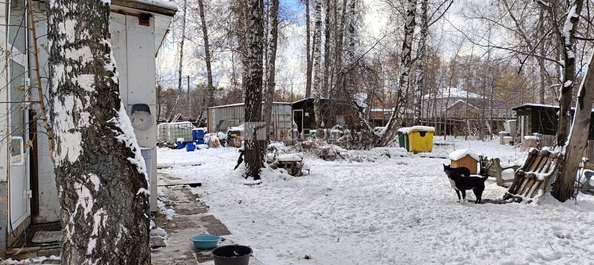 
  Продается земельный участок 34.5 сотки. Фото 4.