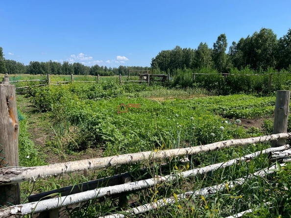 
  Продается земельный участок 450 соток. Фото 30.