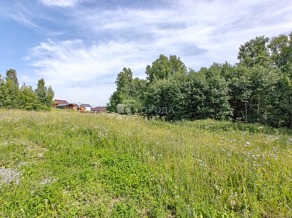 
  Продается земельный участок 12.21 соток. Фото 7.