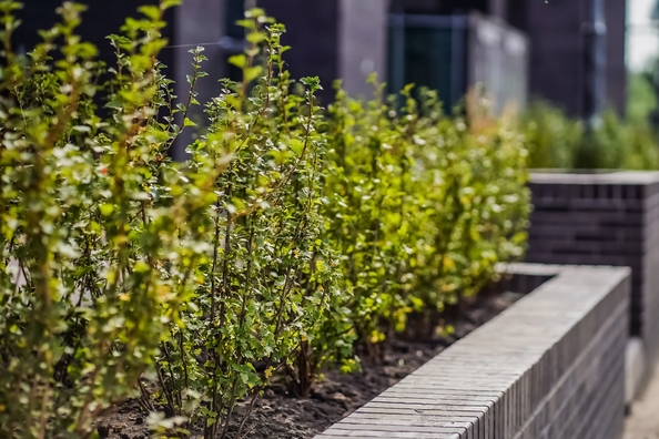 
  Продается 2-комн. квартира 67.7 м², в ЖК Тайм Сквер. Фото 18.