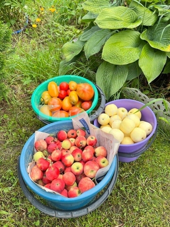 
  Продается земельный участок 7.21 соток. Фото 12.