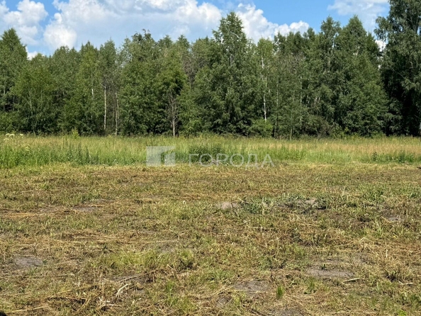 
  Продается дом 46 м². Фото 30.