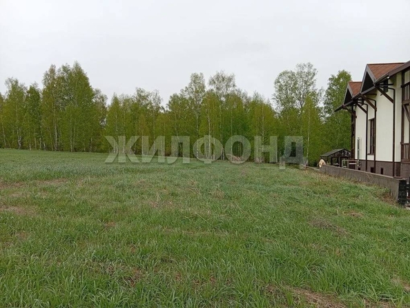 
  Продается земельный участок 44.8 сотки. Фото 3.