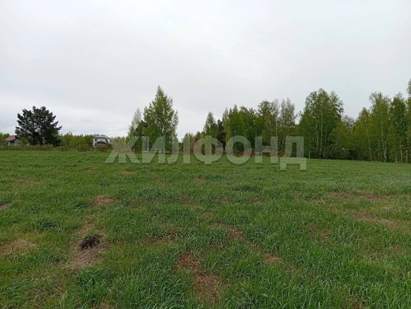 
  Продается земельный участок 44.8 сотки. Фото 6.