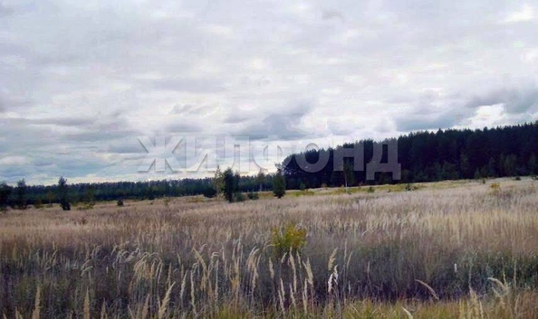 
  Продается земельный участок 843.55 сотки. Фото 2.