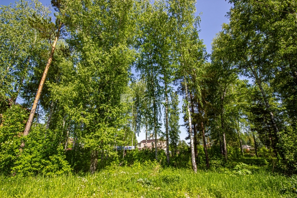 
  Продается земельный участок 10 соток. Фото 35.
