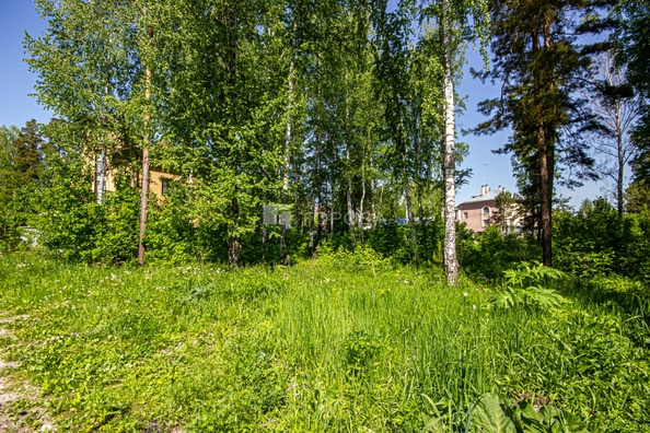 
  Продается земельный участок 10 соток. Фото 36.