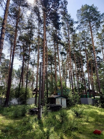 
  Продается дача 35 м². Фото 14.