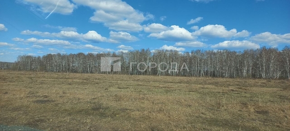 
  Продается земельный участок 232 сотки. Фото 12.