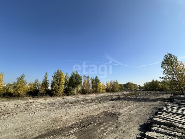 
  Продается земельный участок 1516.97 соток. Фото 13.