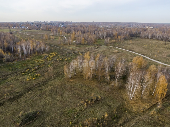 
  Продается земельный участок 6 соток. Фото 4.