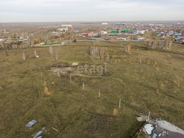
  Продается земельный участок 6 соток. Фото 6.