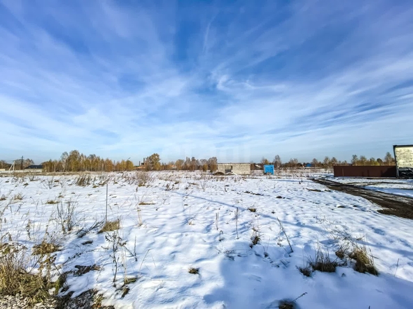 
  Продается земельный участок 6 соток. Фото 22.