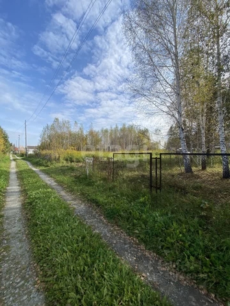 
  Продается земельный участок 10 соток, в КП Березки Садовый. Фото 4.