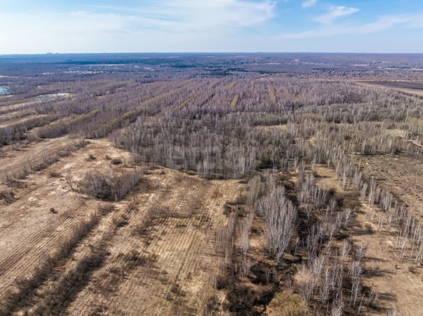 
  Продается земельный участок 490 соток, в КП Олимп. Фото 8.