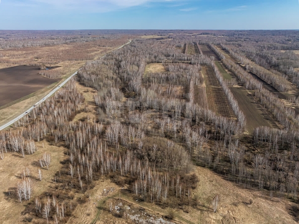 
  Продается земельный участок 247 соток, в КП Олимп. Фото 15.