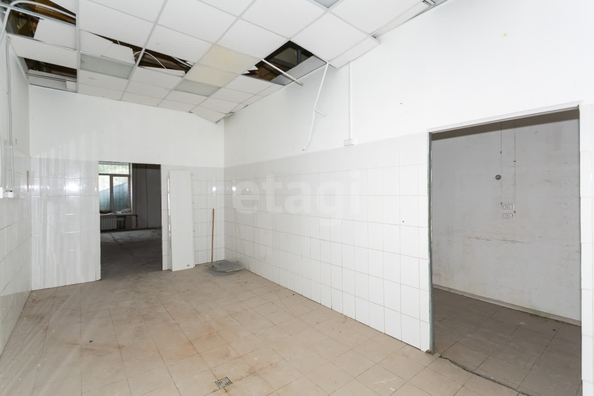 
  Сдается универсальное помещение 274 м². Фото 11.
