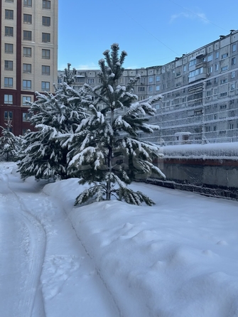 
  Продается 3-комн. квартира 65 м². Фото 17.