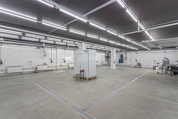 
  Сдается универсальное помещение 900 м². Фото 9.