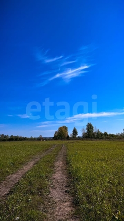 
  Продается земельный участок 6 соток. Фото 4.