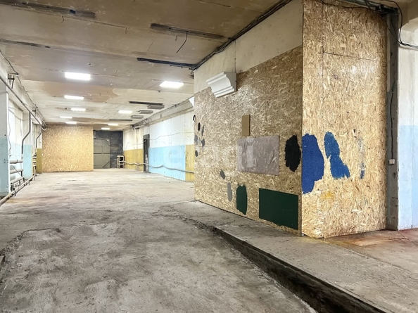 
  Продается универсальное помещение 300 м². Фото 13.