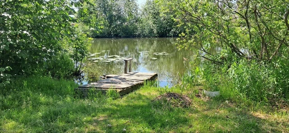 
  Продается дача 40 м². Фото 19.