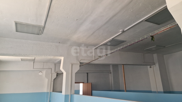 
  Сдается универсальное помещение 182.5 м². Фото 21.