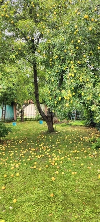 
  Продается дом 322.8 м². Фото 6.