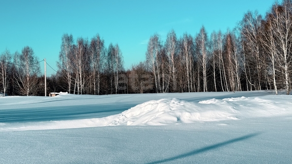 
  Продается земельный участок 8.3 соток. Фото 11.