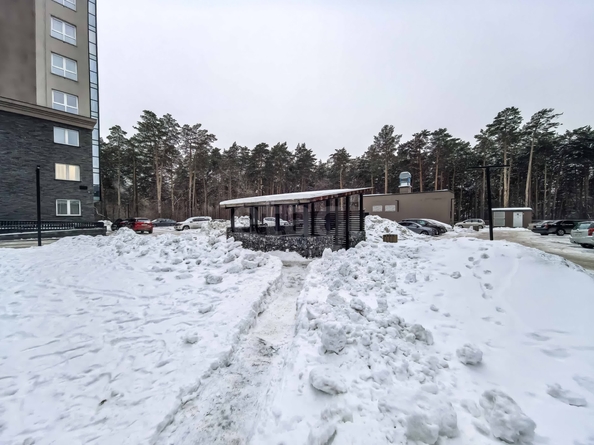 
  Продается 2-комн. квартира 45.8 м², в ЖК Сосновый бор, 1 корпус. Фото 24.