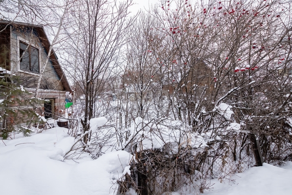 
  Продается земельный участок 6 соток. Фото 9.