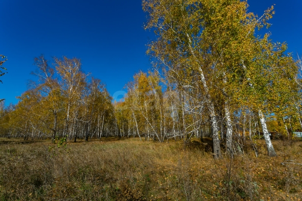 
  Продается земельный участок 18.84 соток. Фото 11.