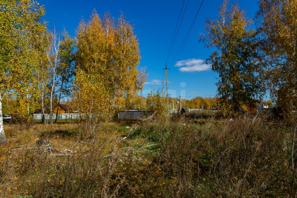 
  Продается земельный участок 18.84 соток. Фото 12.