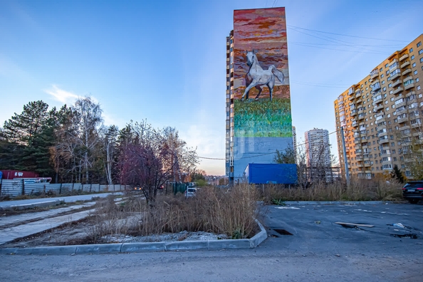 
  Сдается универсальное помещение 81.2 м². Фото 3.