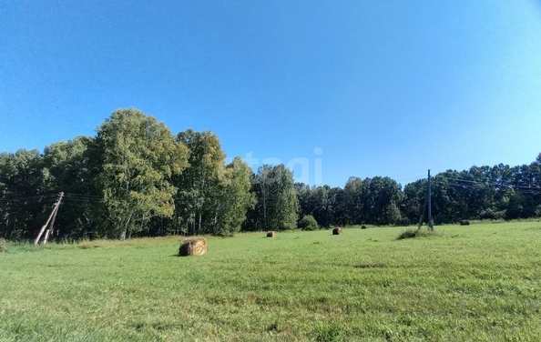 
  Продается 3-комн. квартира 57.7 м². Фото 13.